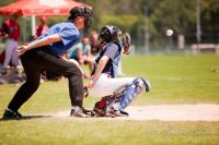 269121_10150220146956876_544161875_7596397_36406_n